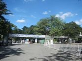 Manila North Cemetery