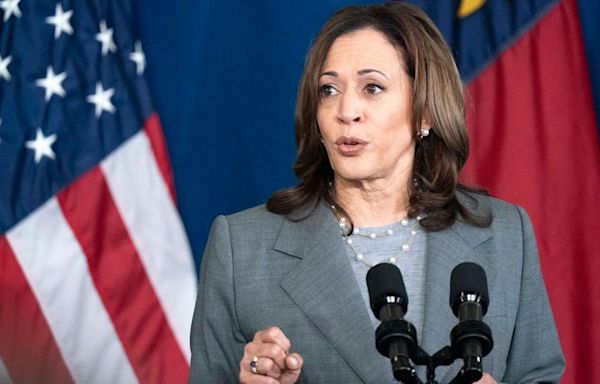 Biden has endorsed Harris. What happens next?