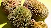 It's Time to Give Durian the Respect It Deserves