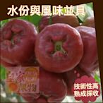 黑珍珠蓮霧中果特級精緻整箱買5斤一般箱約20~25入【皇家果物】低溫免運