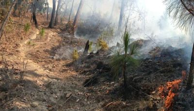 Reportan incendio en zona ecológica de Valle de Bravo