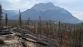 Evacuees, residents won't be able to return to Jasper until wildfire under control: officials