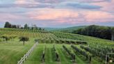 Explore Connecticut's wine country with expanded passport program and new vineyard tours