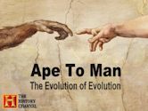 Ape to Man