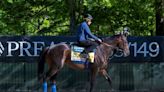At a Glance: Imagination Poses a Threat in Preakness
