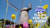 San Francisco's Dutch windmill helped turn dunes into tulip gardens | Bartell's Backroads