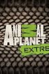 Animal Planet Extreme