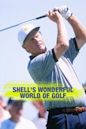 Shell's Wonderful World of Golf