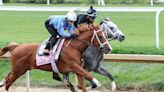 The Kentucky Derby could be a wet one. Early favorites Fierceness, Sierra Leone have won in the slop