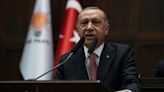 Erdogan diz que Putin pode visitar Turquia em abril para inauguração de usina