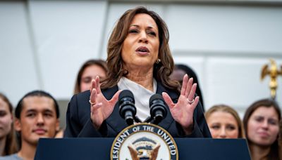 What people mean when they call Kamala Harris a ‘DEI candidate’