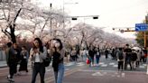Los surcoreanos rejuvenecen uno o dos años tras cambiar sus sistema para contar la edad