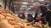 Egypt seeks new markets for agricultural products