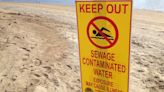 High bacteria levels at these San Diego County beaches prompt water contact closures