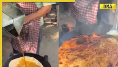 Viral video: Man makes paratha with 'diesel', internet reacts