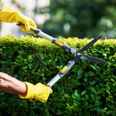 Gardening