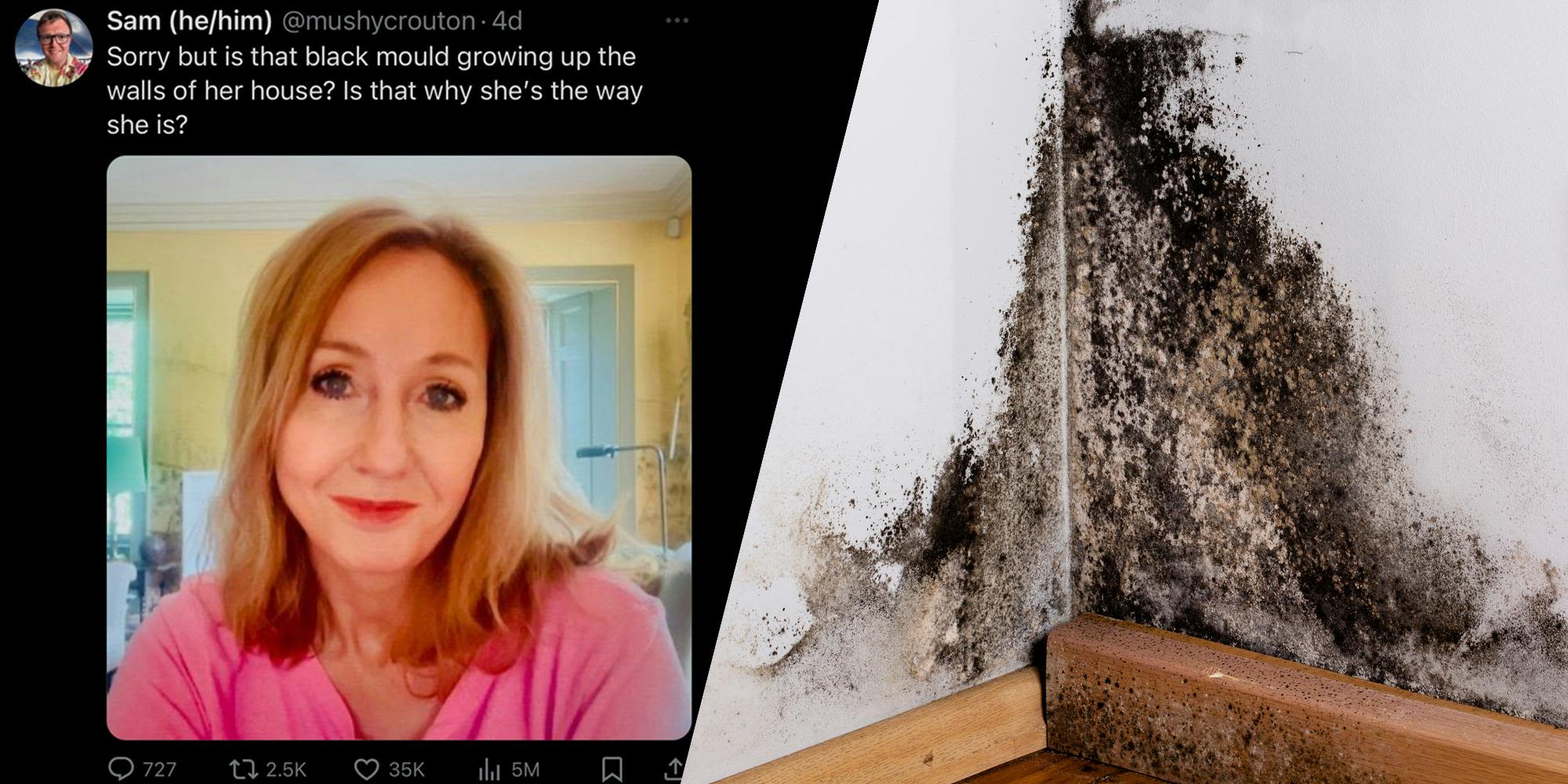 The JK Rowling Black Mold Meme Explains Why She's Like That