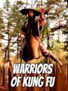 Warriors of Kung Fu