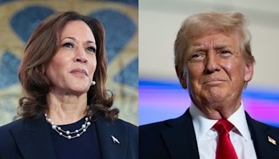 Kamala Harris leads Trump in the critical swing states of Michigan, Pennsylvania, and Wisconsin, new poll says