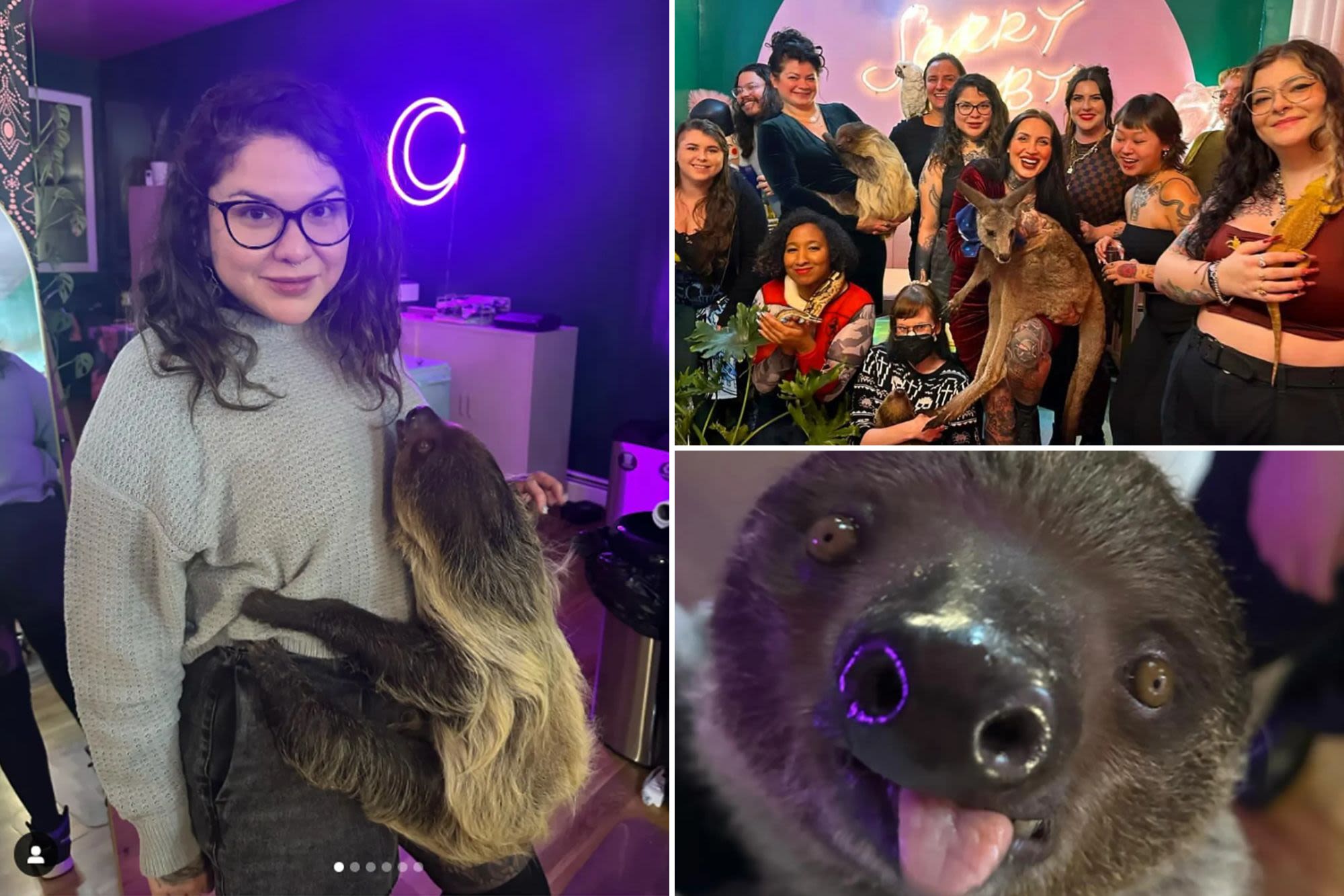 Sloth’s visit to NYC tattoo parlor Haven Studio sparks city fine, denials from business
