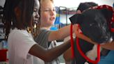 Friends of the Animals Shelter visits local elementary school after student advocacy project