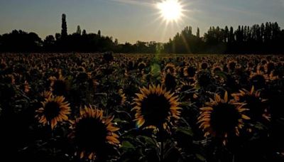 España y el Sur de Europa bajo el Impacto de una Ola de Calor