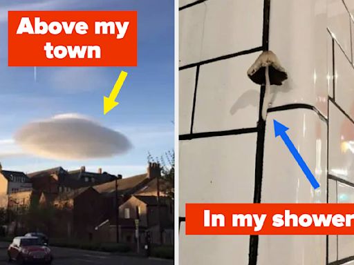 21 Photos That'll Make You Say, "Mother Nature Does Whatever The Effffff She Wants"