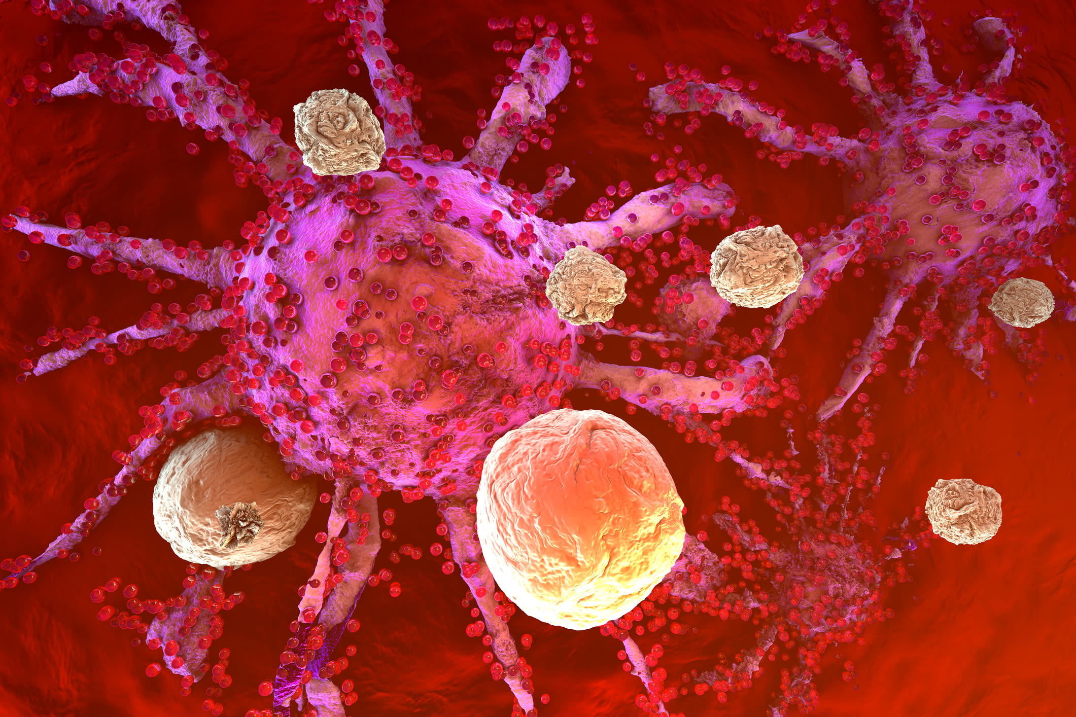 Scientists make breakthrough for successful cancer treatment