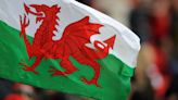 Fewer people speaking Welsh than 10 years ago, Census reveals