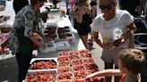 Crowds fill downtown Coldwater Saturday for Strawberry Fest