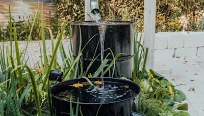 Yellow City Green Thumbs host rainwater harvesting event at Downtown Amarillo Library