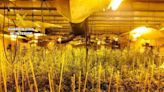 La Guardia Civil desmantela un laboratorio indoor de marihuana