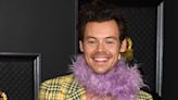 Harry Styles Auditioned for ‘Elvis,’ and Director Baz Luhrmann Just Let It Slip Why He Wasn’t Cast