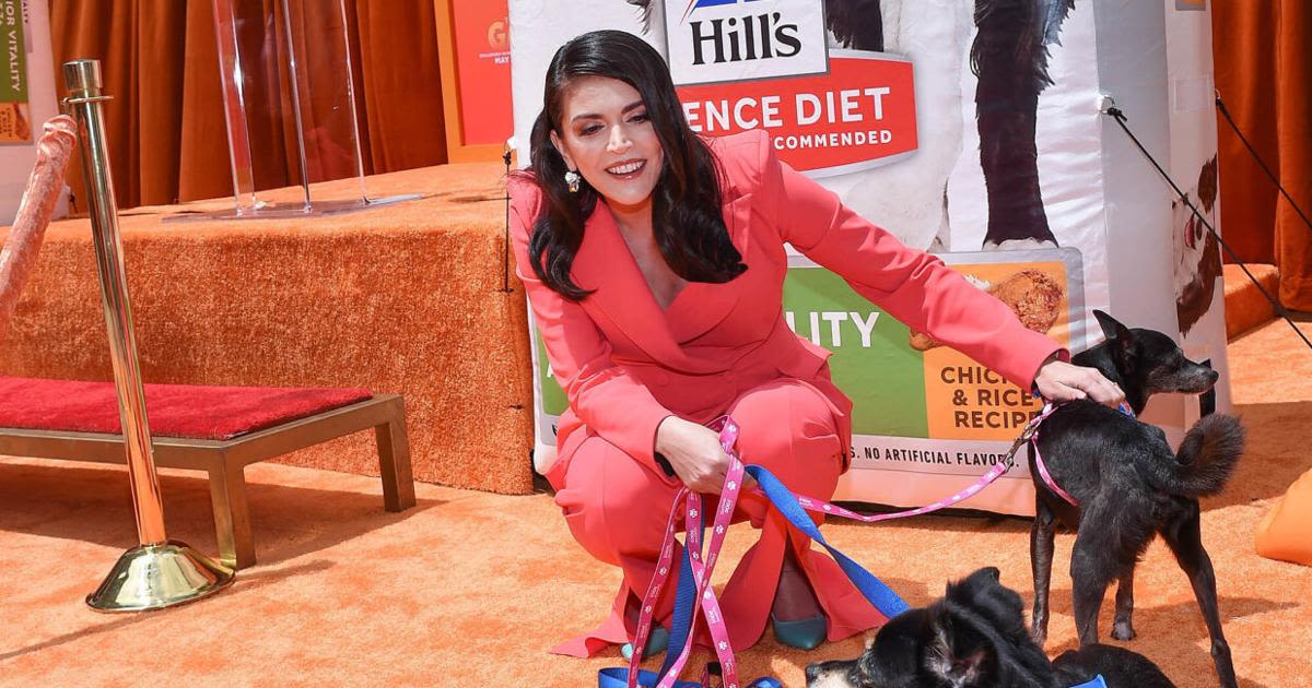 ...NUTRITION PARTNERS WITH ACTRESS AND SENIOR DOG OWNER CECILY STRONG ON NEW CAMPAIGN TO HELP SENIOR PETS AGE BOLDLY...