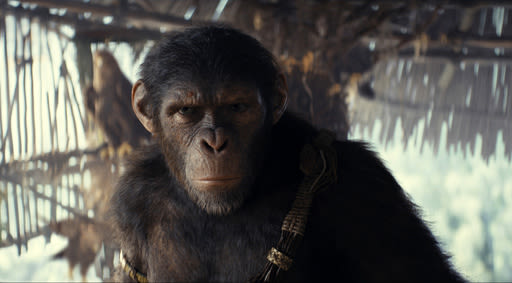 'Kingdom of the Planet of the Apes' reigns at box office with $56.5 million opening - The Morning Sun