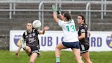 Fermanagh hold on against Limerick to reach All-Ireland Junior final