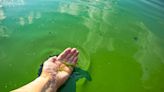 Another Kansas lake added to blue-green algae advisory ahead of Memorial Day