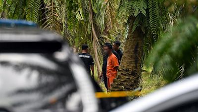 Oil palm plantation likely scene of Nur Farah Kartini’s murder, says Selangor police chief