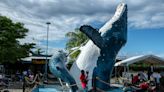 En Colombia, puedes avistar ballenas y llevarles serenata