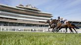 Today on Sky Sports Racing: Newbury, Newton Abbot and Brighton feature on Tuesday