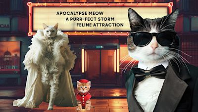 Don’t F*** With Cat Ladies!: How a Pottery-Making Pussycat Won the Box Office