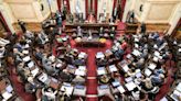 Ley Bases y paquete fiscal: el Senado puso fecha para su tratamiento en el recinto