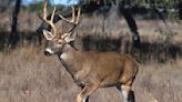 Missouri bowhunter harvests two deer with one shot