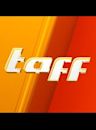 taff (TV series)