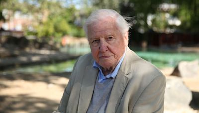 David Attenborough praises Bristol for 'leading the way'