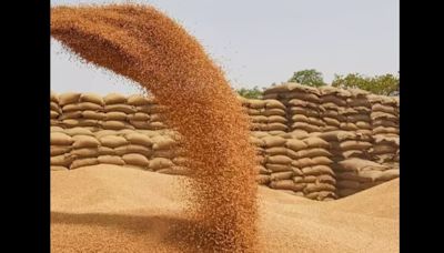 U.P. records low wheat procurement by govt agencies for 3rd year in a row