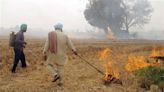 Blaming Punjab farmers for Delhi’s air pollution unfair: NGT member Justice Sudhir Agarwal