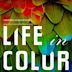 Vida en Color (Documental)