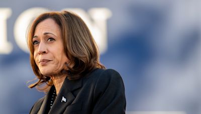 Kamala Harris compared to 'monkey with grenade' by Russian media