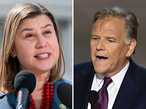 Mike Rogers' chances of beating Elissa Slotkin in Michigan: Polls